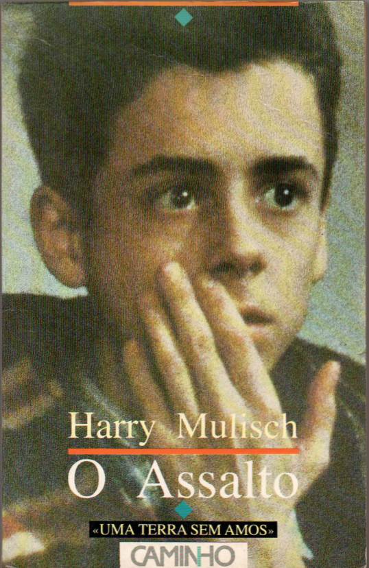 O assalto - Harry Mulisch