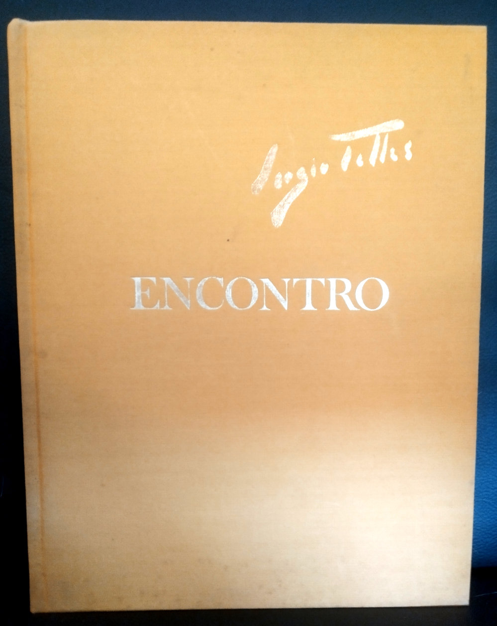 Sergio Telles – Encontro