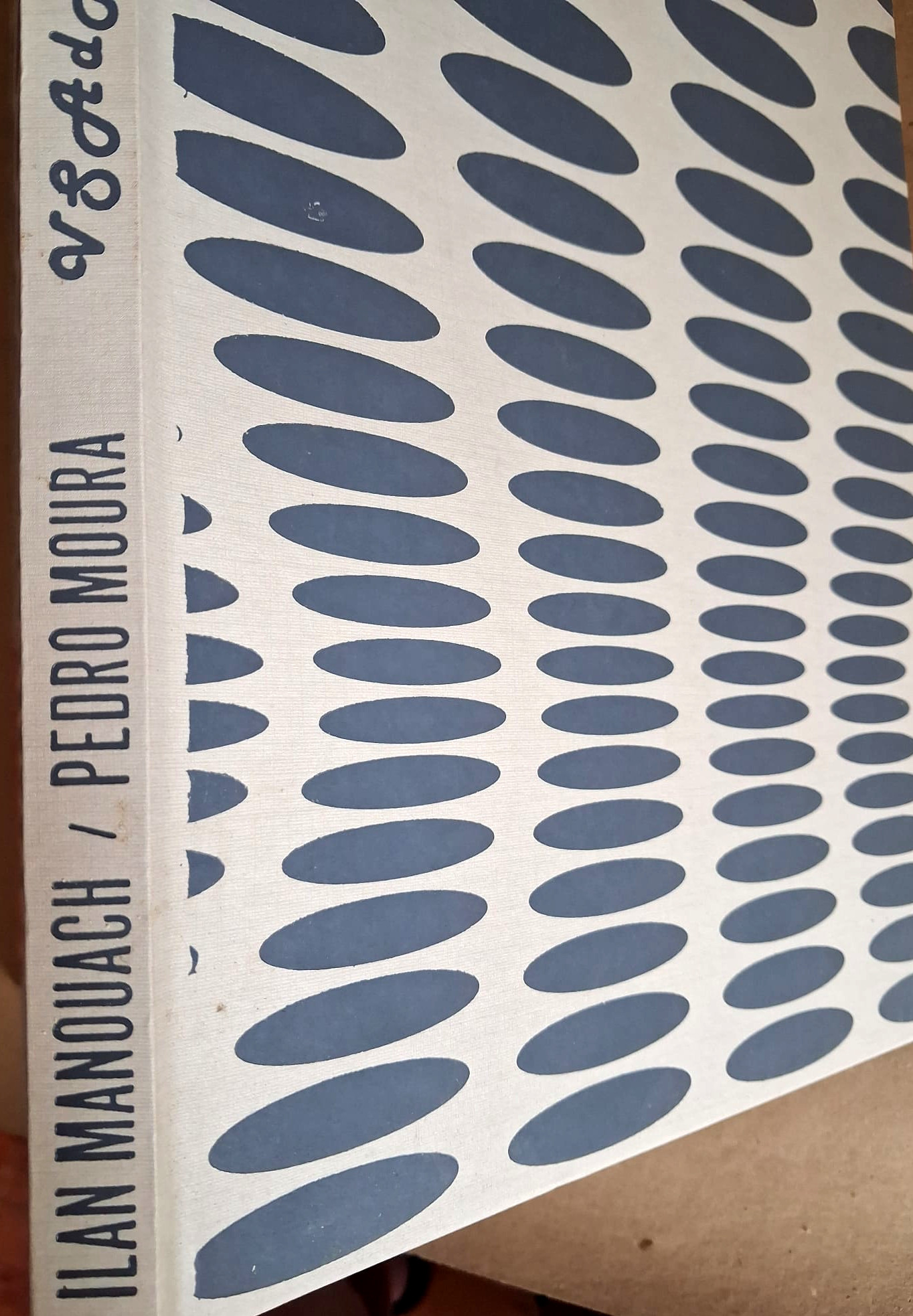 VSAdH – Variações Sobre o Anjo da História