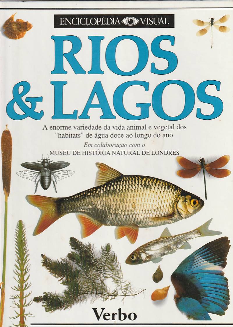 Rios e lagos