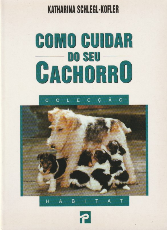 Como cuidar do seu cachorro