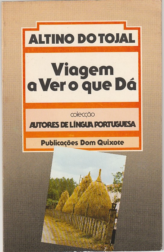 Viagem a ver no que dá (1ª ed.)