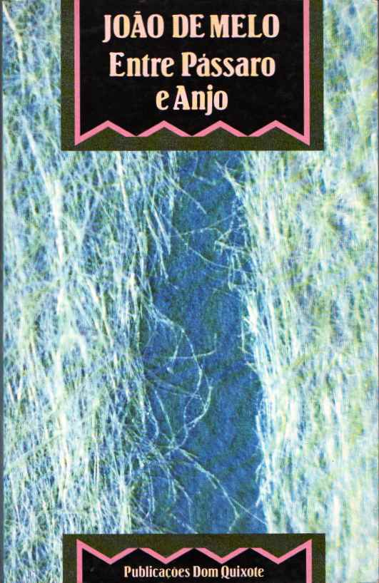 Entre pássaro e anjo